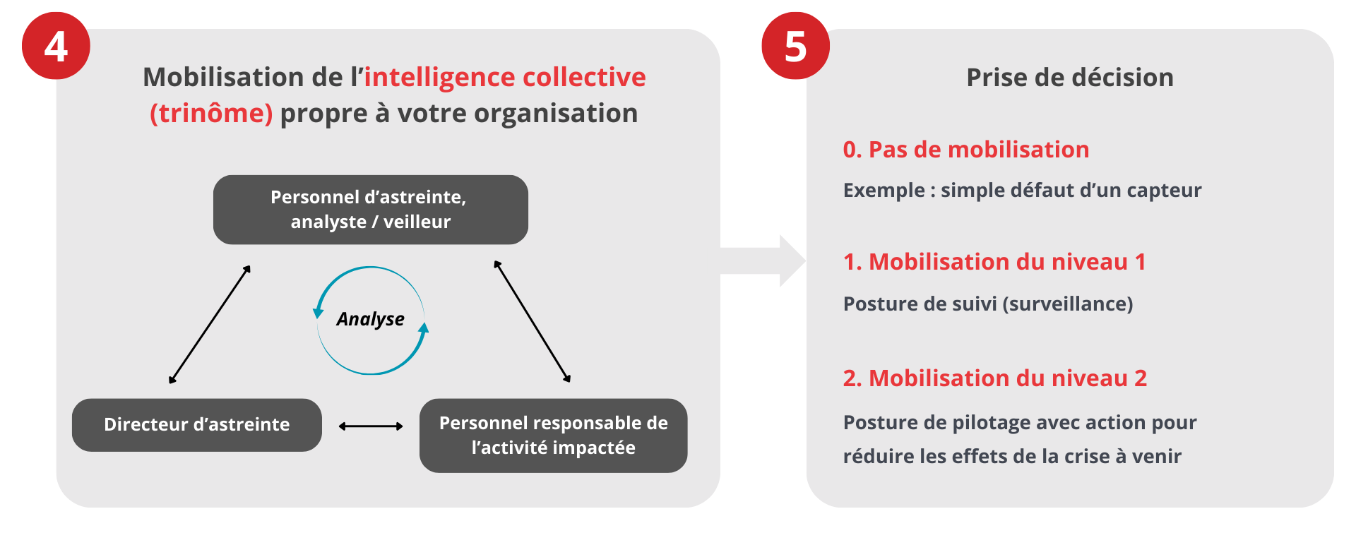 Schéma illustrant la mobilisation de l’intelligence collective et les niveaux de décision dans la solution VigieRisc